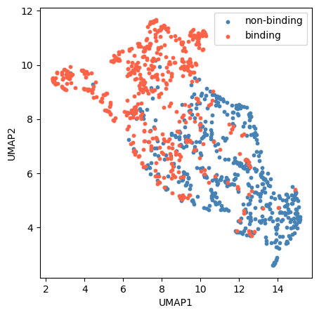 _images/tutorial_embedding_extraction_21_1.png